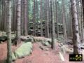 Feuersteinklippen bei Schierke im Harz, Sachsen-Anhalt, (D) Brockengranit - Oberkarbon (13) 26. Juni 2012.JPG